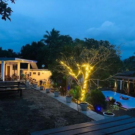 Lily Resort Udawalawe Zewnętrze zdjęcie