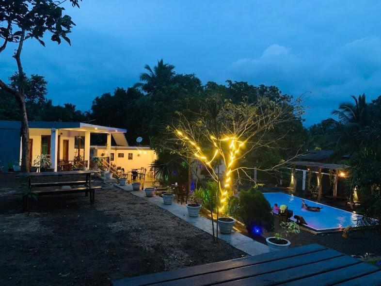 Lily Resort Udawalawe Zewnętrze zdjęcie