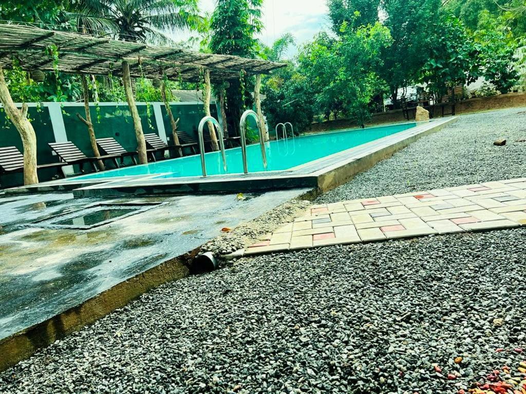 Lily Resort Udawalawe Zewnętrze zdjęcie